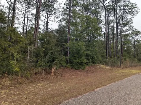 2737 W Blink Drive Citrus Springs FL 34434