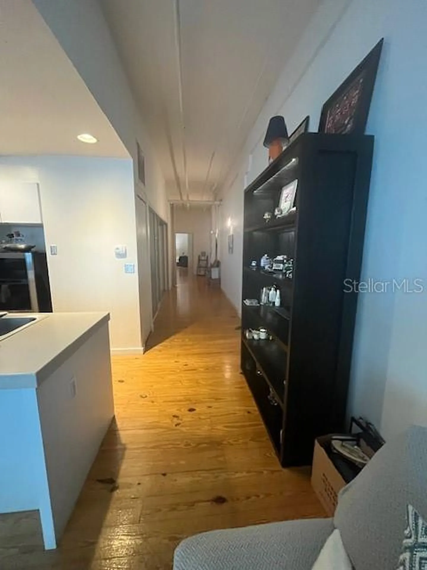 509 Tampa Street Tampa FL 33602