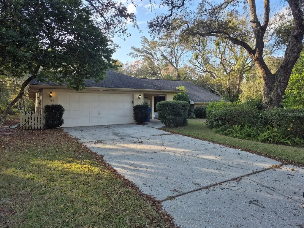 1147 Barranca Avenue Spring Hill FL 34609