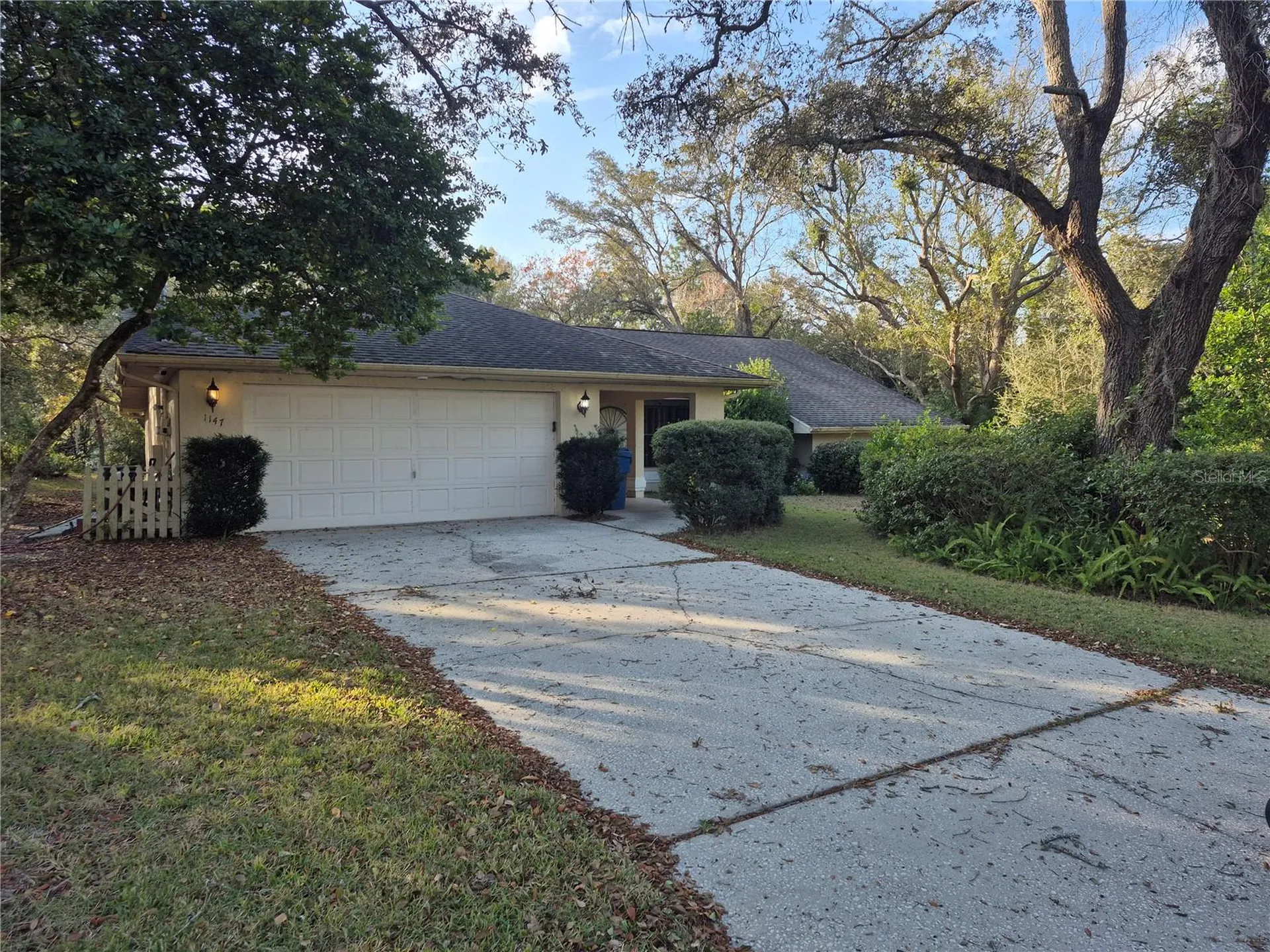 1147 Barranca Avenue Spring Hill FL 34609