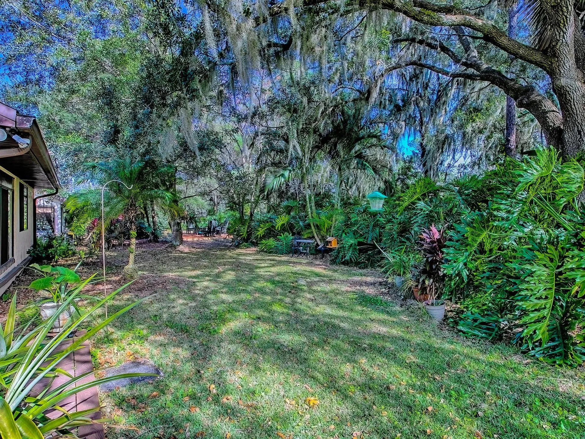 104 Waterwood Drive Yalaha FL 34797