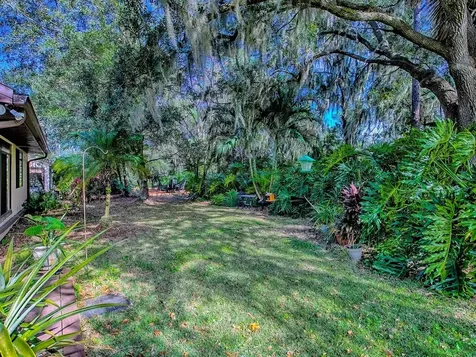 104 Waterwood Drive Yalaha FL 34797