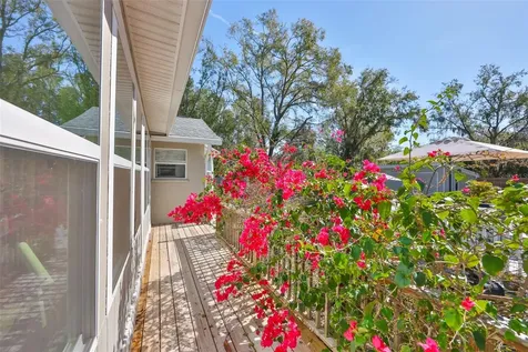 20600 Gardenia Drive Land O Lakes FL 34638