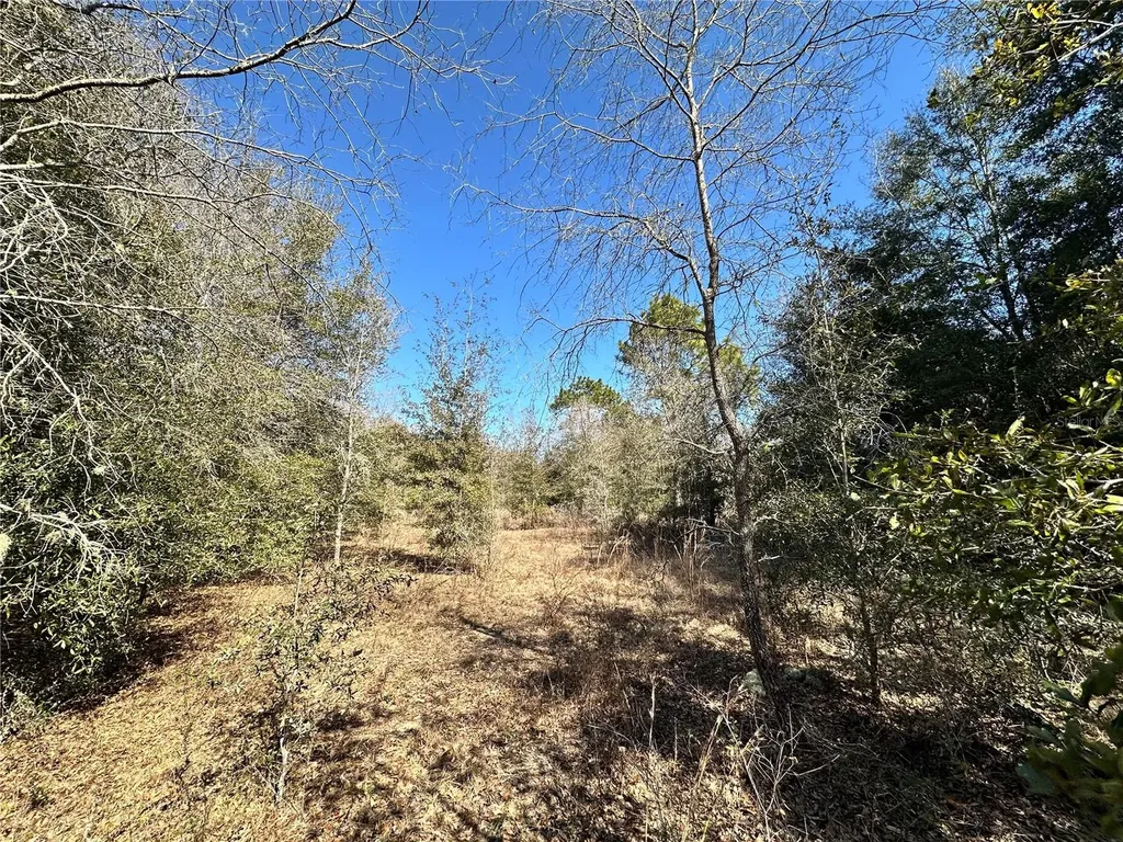 Tbd NE NE 85th Avenue Bronson FL 32621
