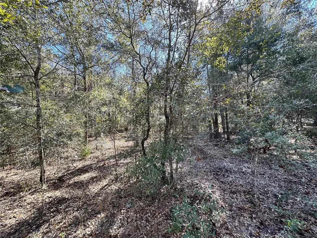 Tbd NE NE 85th Avenue Bronson FL 32621