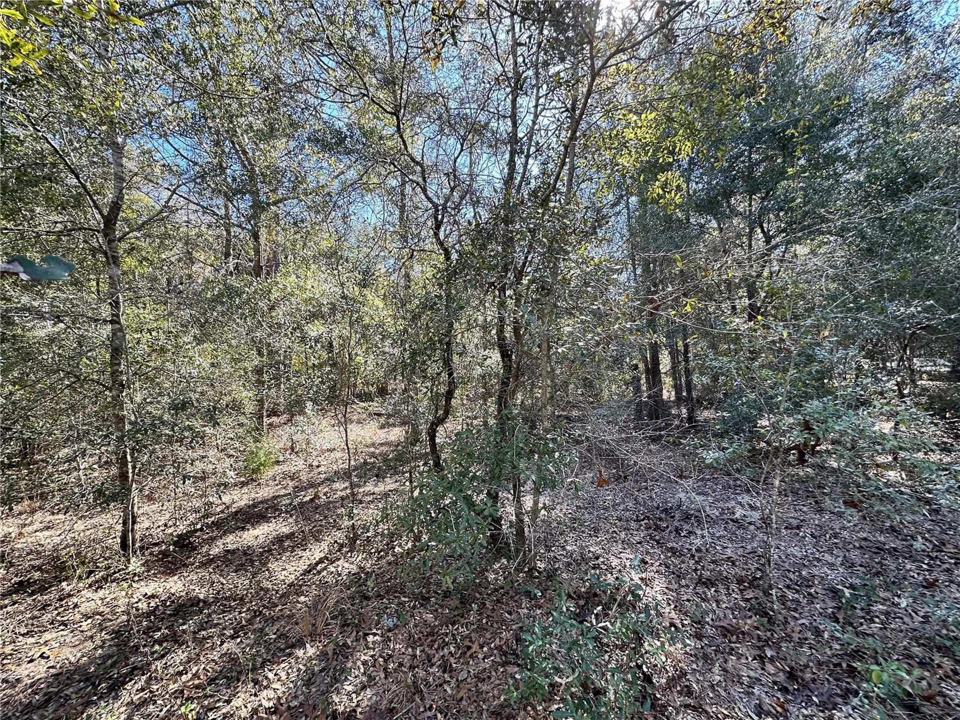 Tbd NE NE 85th Avenue Bronson FL 32621