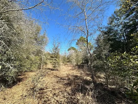 Tbd NE NE 85th Avenue Bronson FL 32621