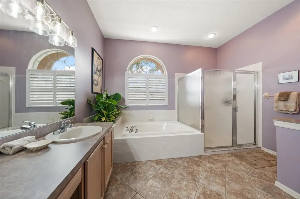 1237 Rambling Vine Court Trinity FL 34655