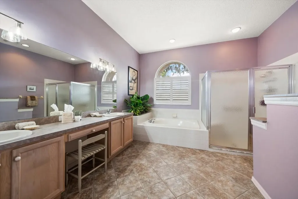 1237 Rambling Vine Court Trinity FL 34655