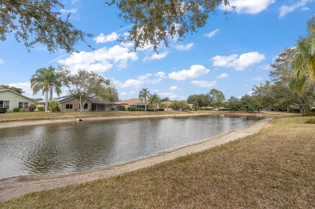 1237 Rambling Vine Court Trinity FL 34655