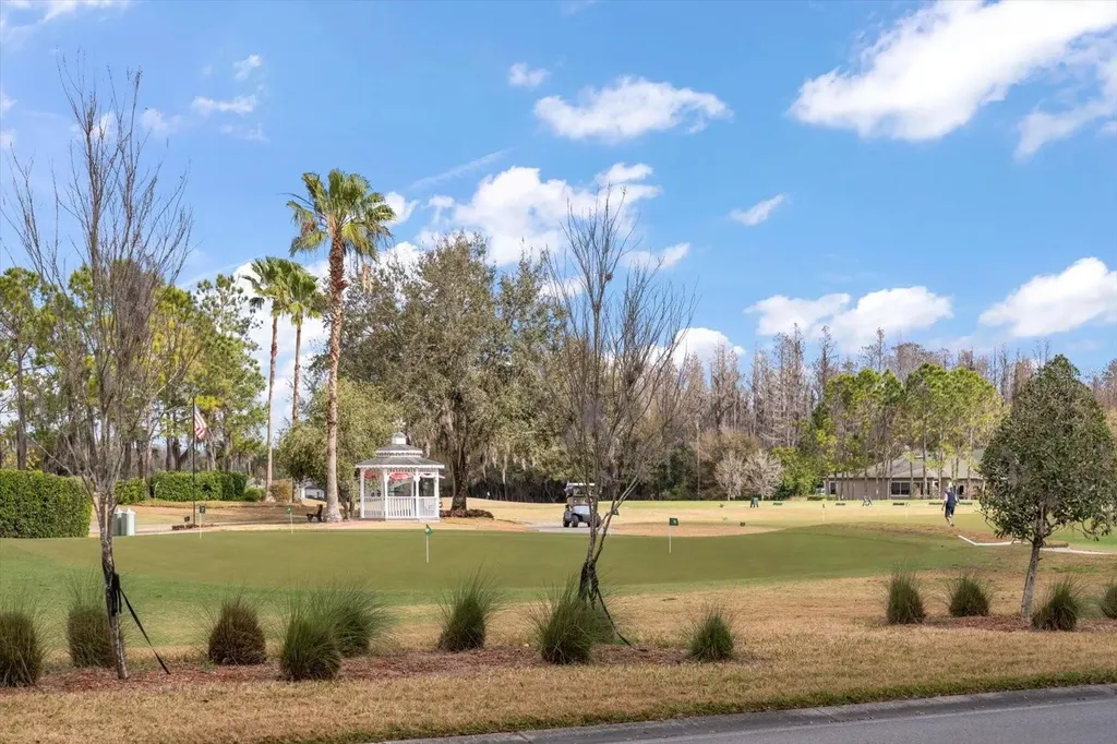 1237 Rambling Vine Court Trinity FL 34655