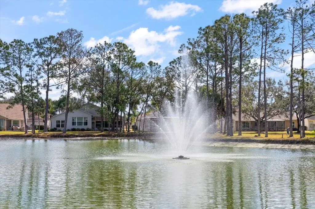1237 Rambling Vine Court Trinity FL 34655