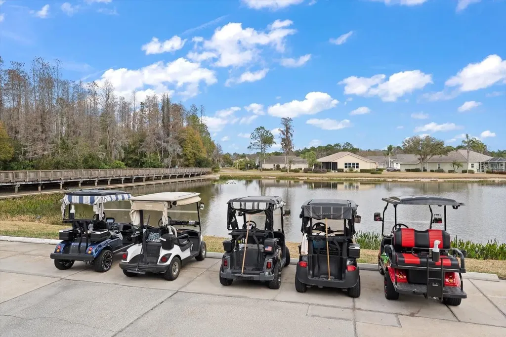 1237 Rambling Vine Court Trinity FL 34655