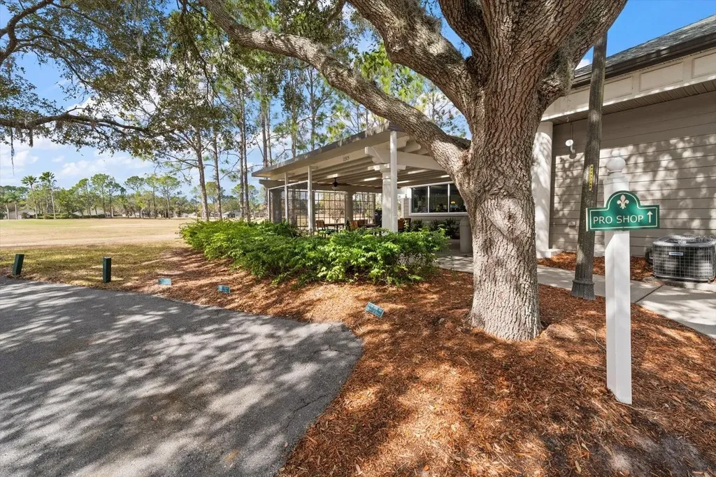 1237 Rambling Vine Court Trinity FL 34655