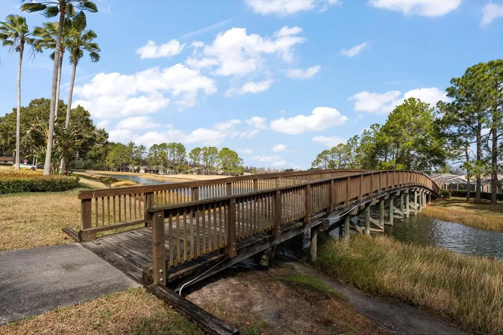 1237 Rambling Vine Court Trinity FL 34655