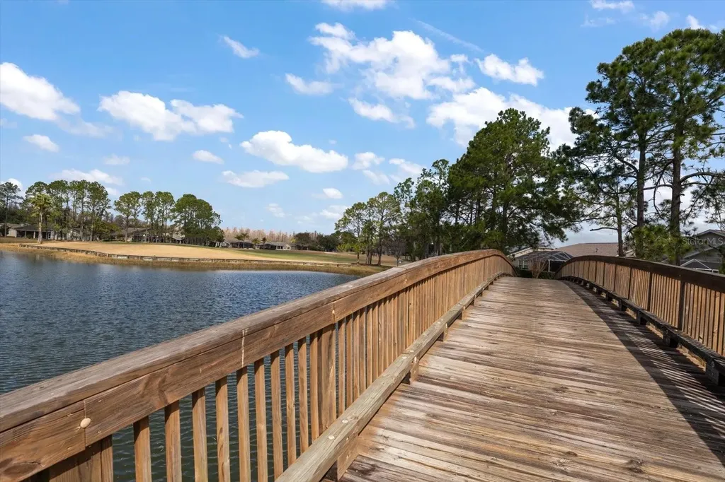 1237 Rambling Vine Court Trinity FL 34655