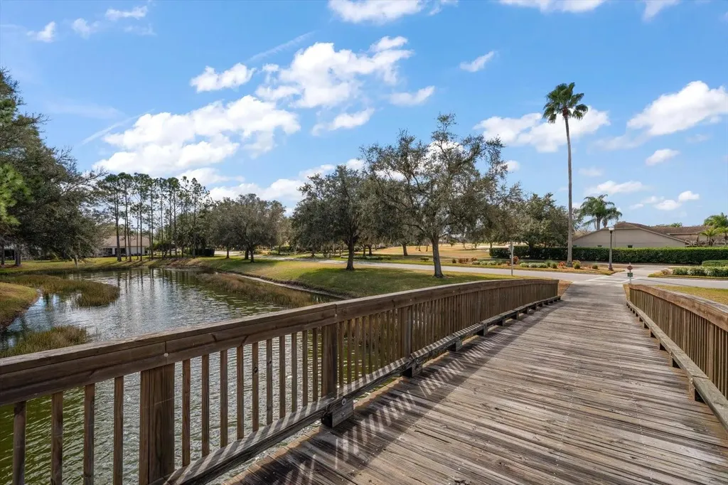 1237 Rambling Vine Court Trinity FL 34655