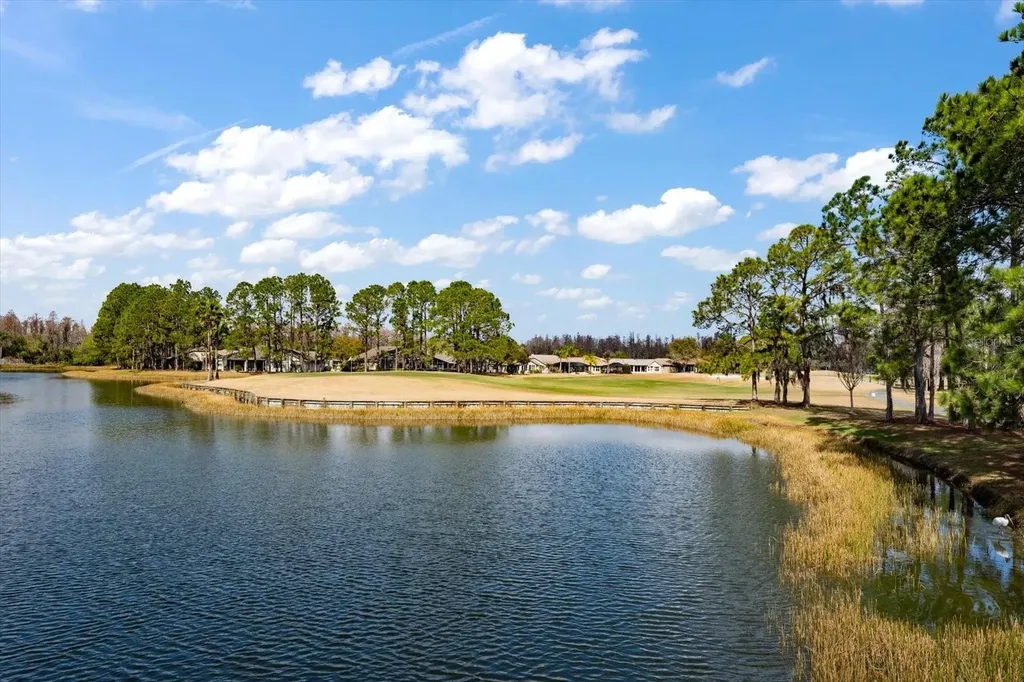 1237 Rambling Vine Court Trinity FL 34655