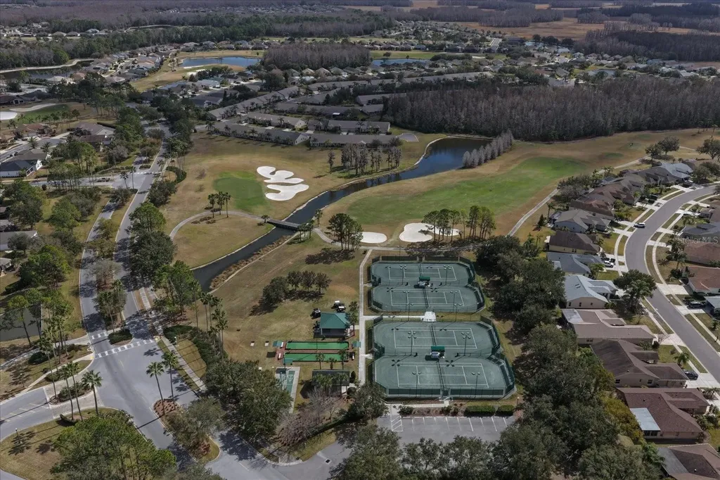 1237 Rambling Vine Court Trinity FL 34655