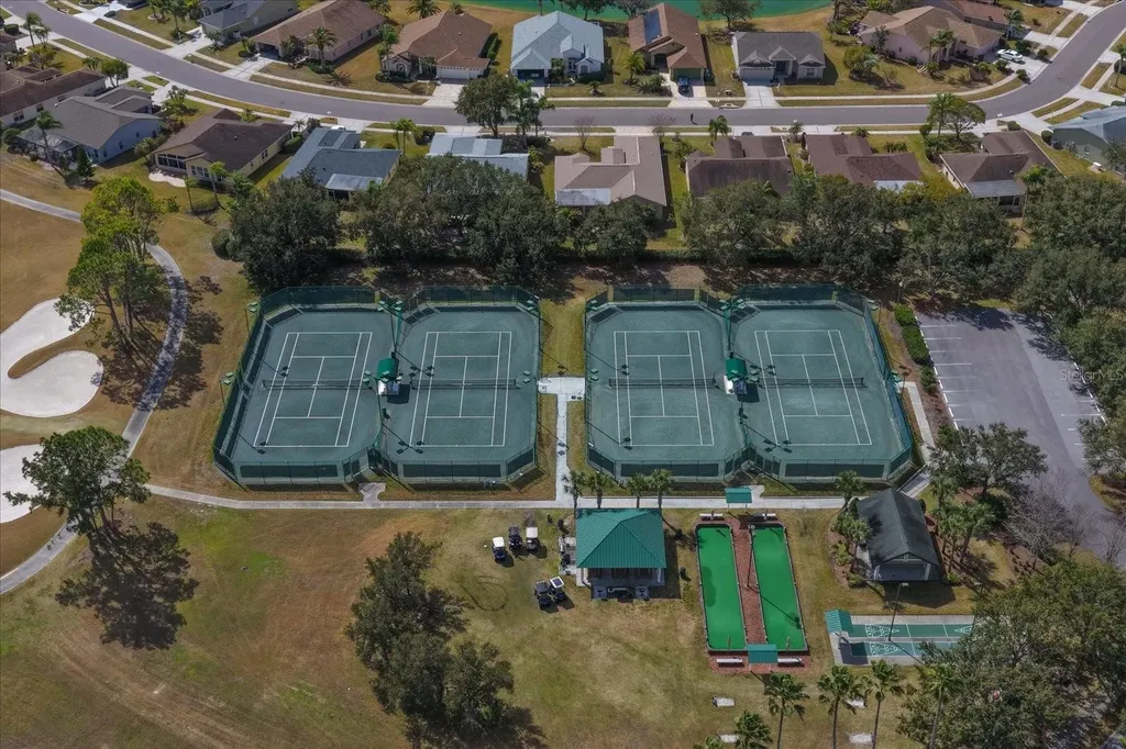 1237 Rambling Vine Court Trinity FL 34655