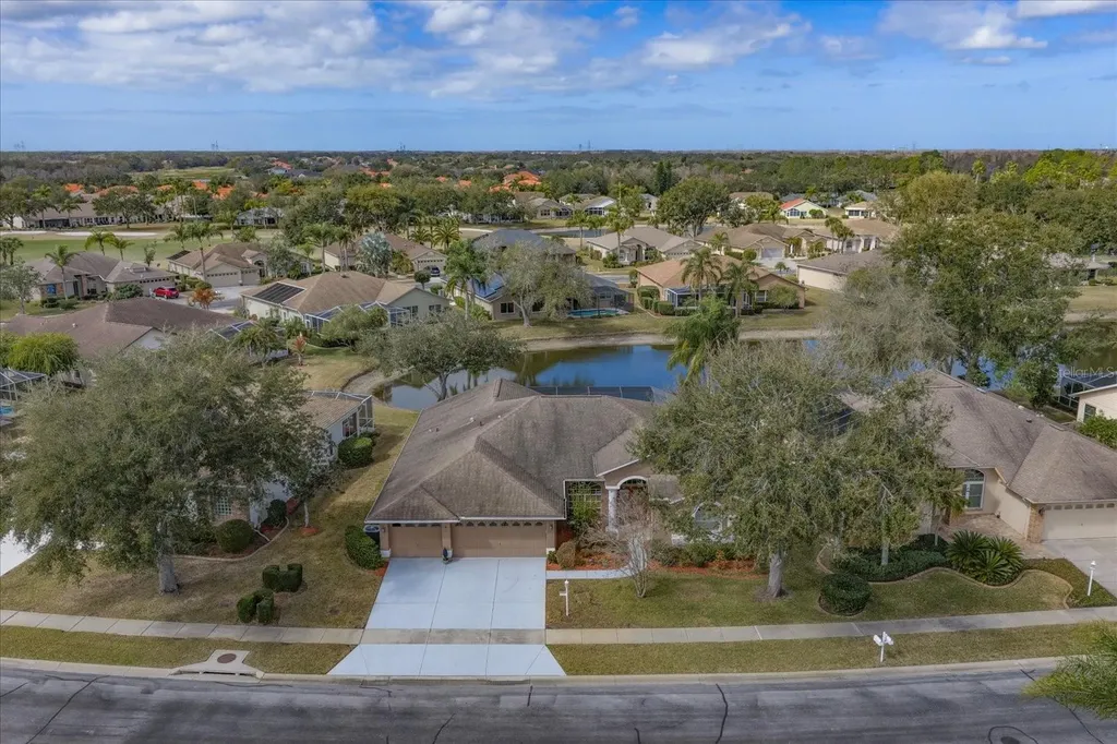 1237 Rambling Vine Court Trinity FL 34655