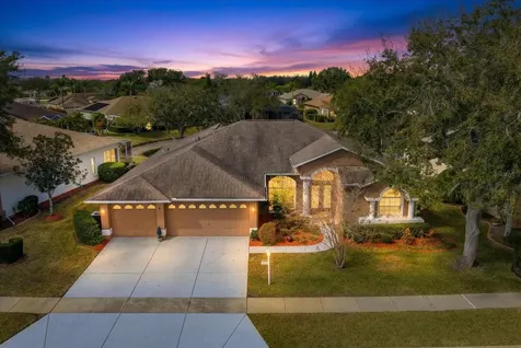 1237 Rambling Vine Court Trinity FL 34655