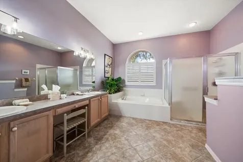 1237 Rambling Vine Court Trinity FL 34655