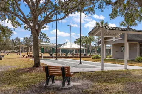 1237 Rambling Vine Court Trinity FL 34655