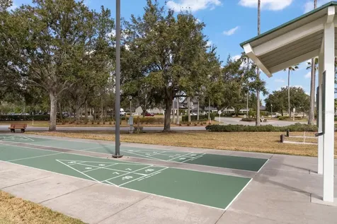 1237 Rambling Vine Court Trinity FL 34655
