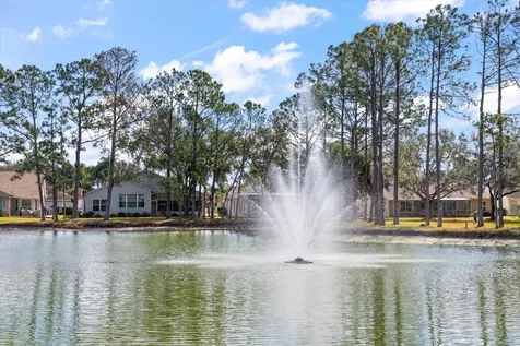 1237 Rambling Vine Court Trinity FL 34655