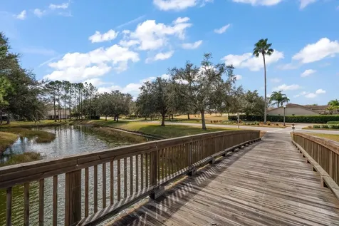 1237 Rambling Vine Court Trinity FL 34655