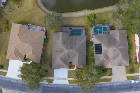 1237 Rambling Vine Court Trinity FL 34655