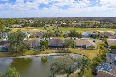 1237 Rambling Vine Court Trinity FL 34655