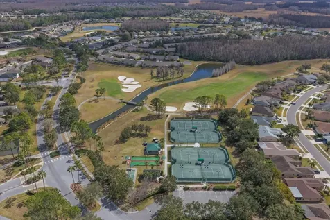 1237 Rambling Vine Court Trinity FL 34655