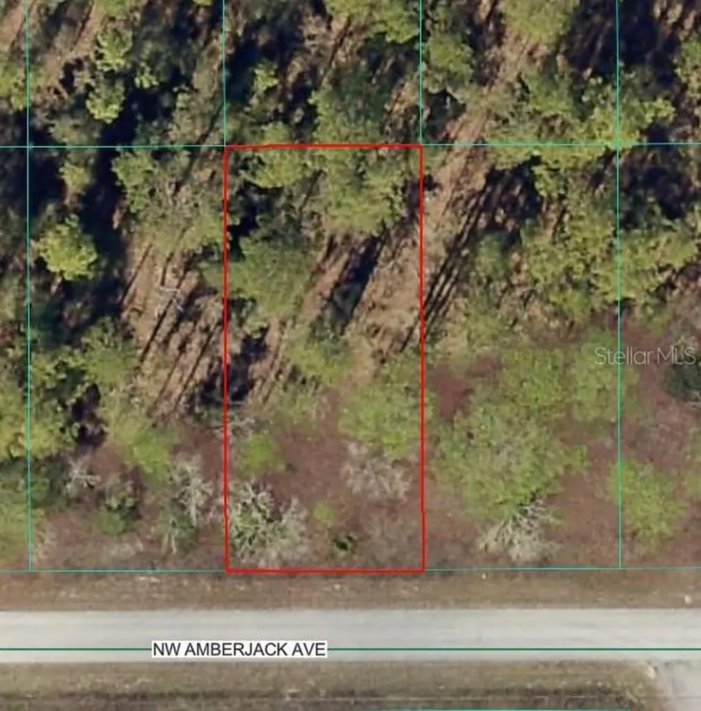 NW Amberjack Avenue Dunnellon FL 34431