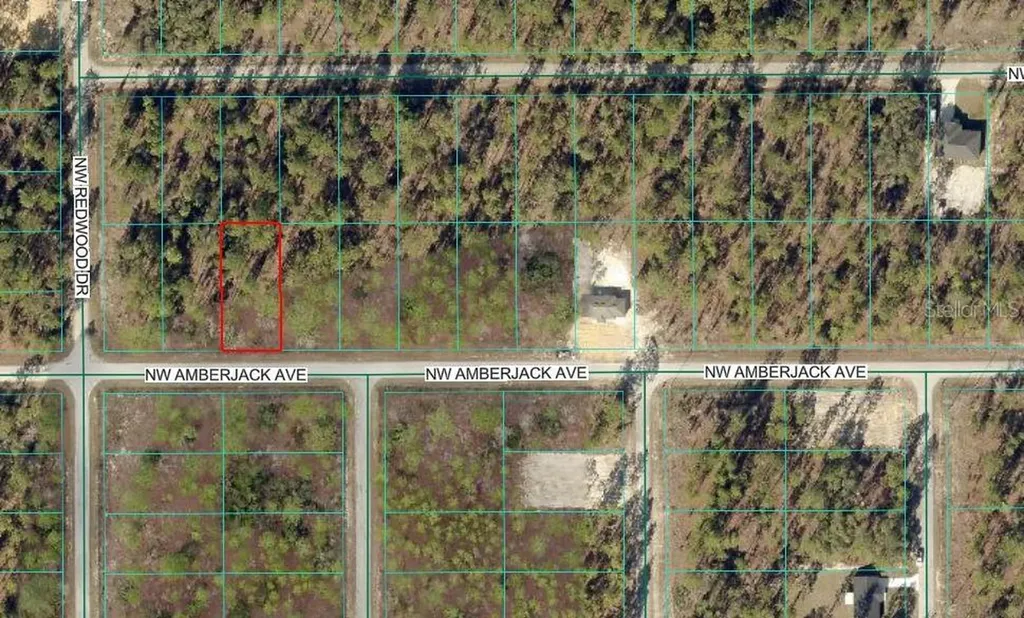 NW Amberjack Avenue Dunnellon FL 34431