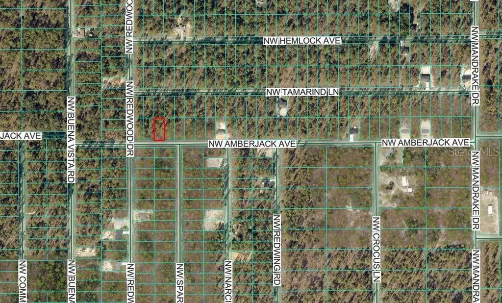 NW Amberjack Avenue Dunnellon FL 34431