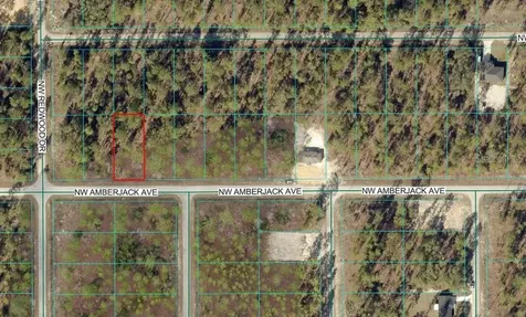 NW Amberjack Avenue Dunnellon FL 34431