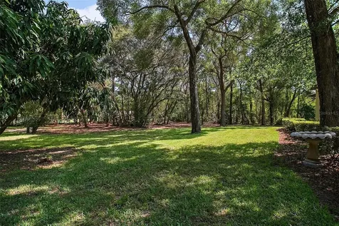 35350 County Road 439 Eustis FL 32736