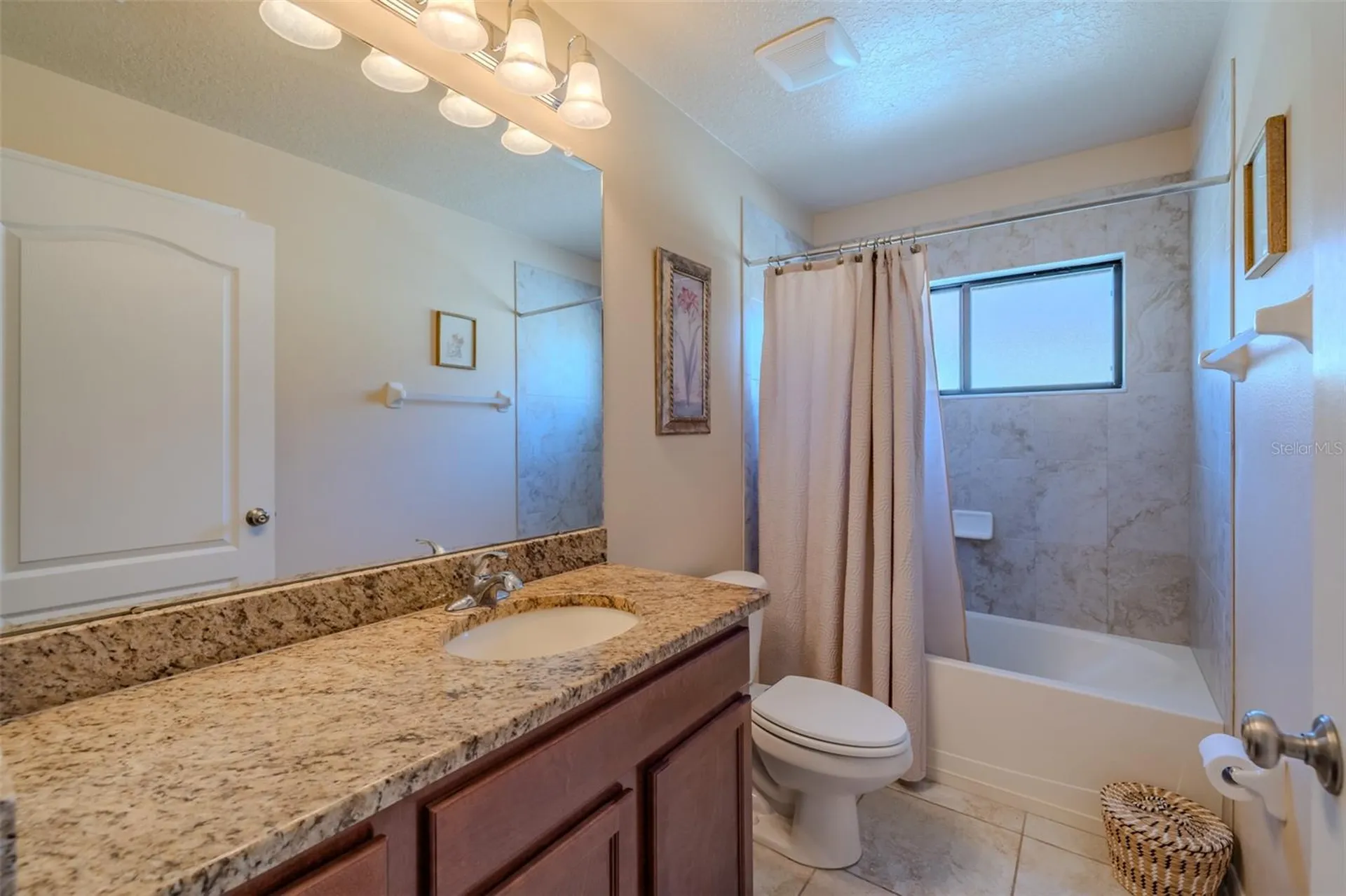 6728 Wild Elm Court Wesley Chapel FL 33545
