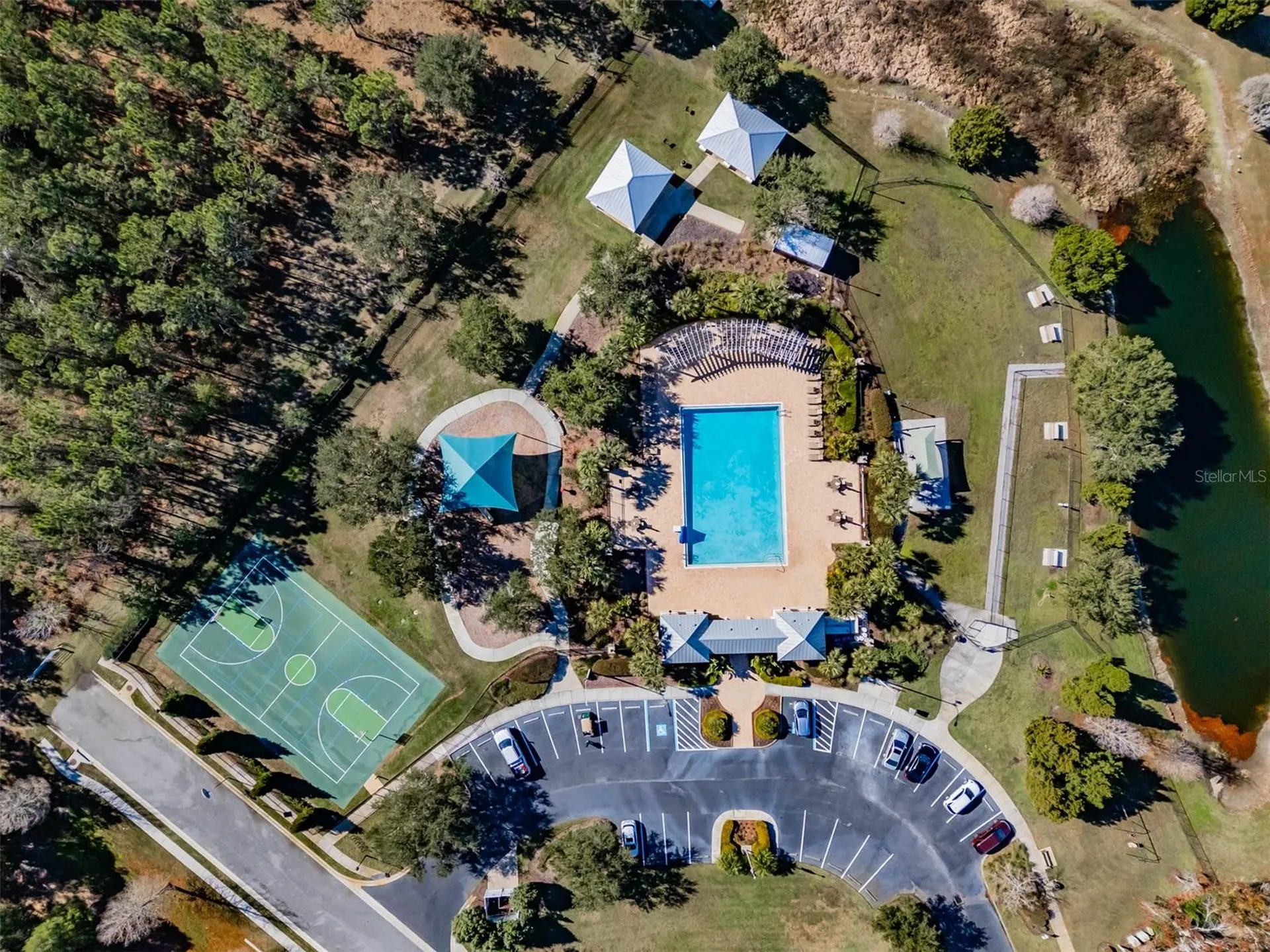 6728 Wild Elm Court Wesley Chapel FL 33545
