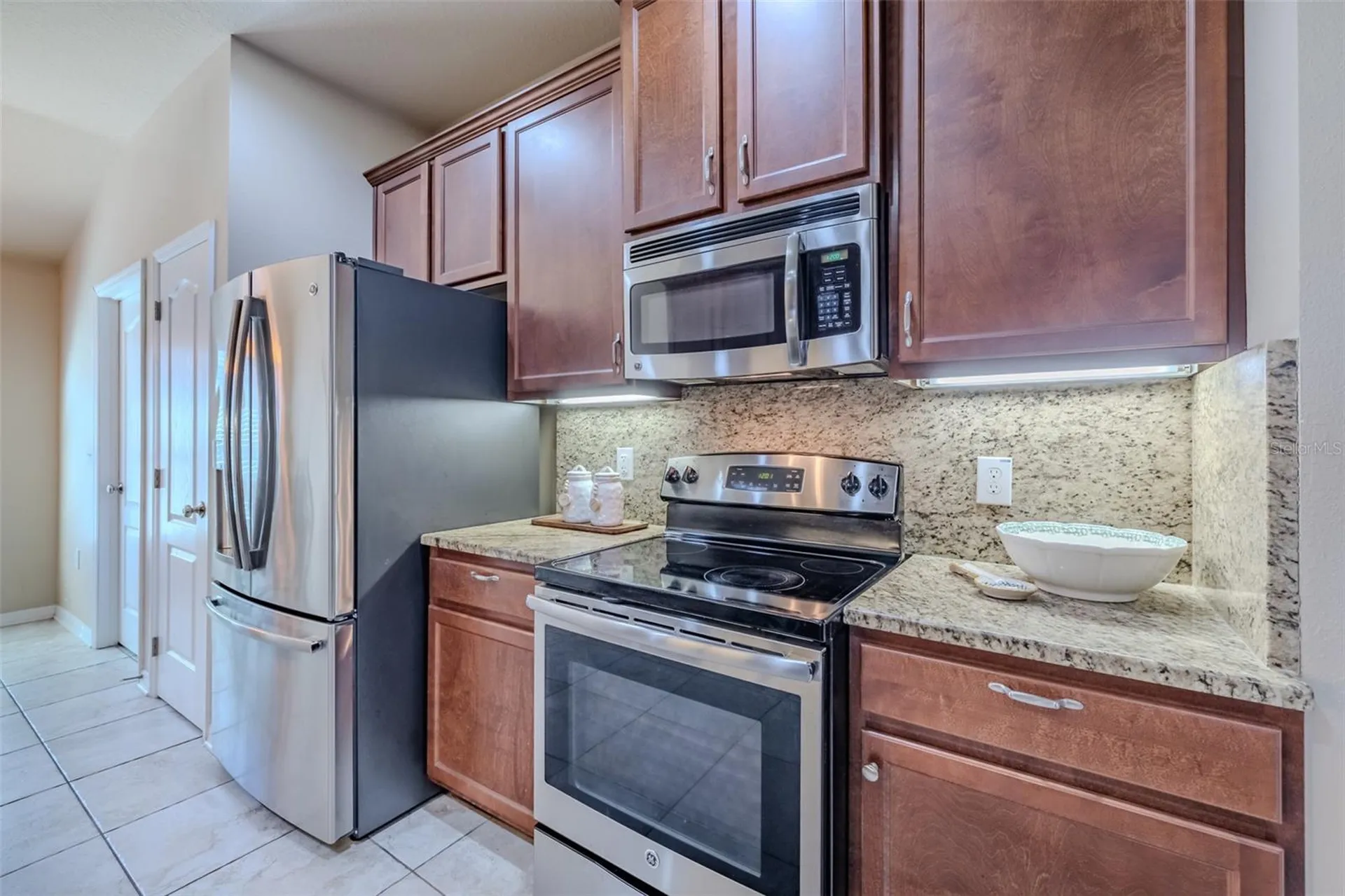 6728 Wild Elm Court Wesley Chapel FL 33545