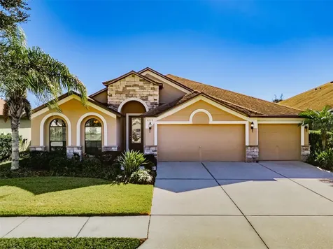6728 Wild Elm Court Wesley Chapel FL 33545