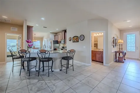 6728 Wild Elm Court Wesley Chapel FL 33545