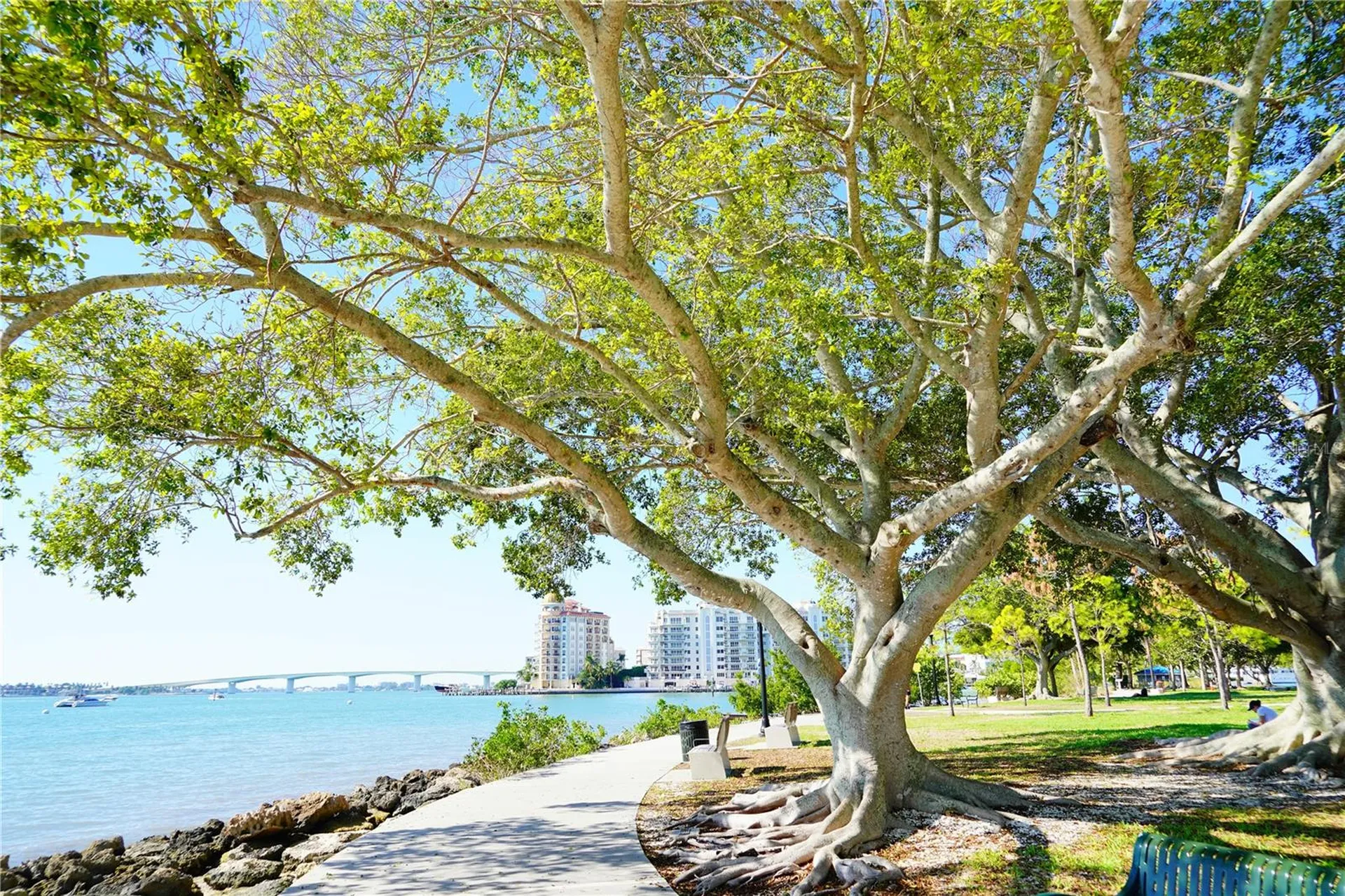 16418 Winburn Drive Sarasota FL 34240