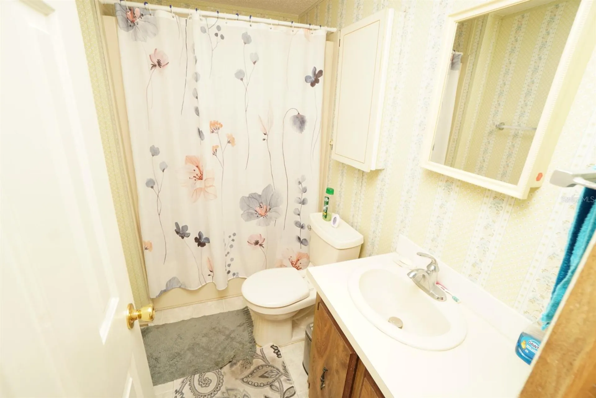 717 Royal Palm Avenue Lady Lake FL 32159