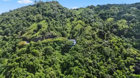 Km 16.5 Pr-15 Cayey PR 00736