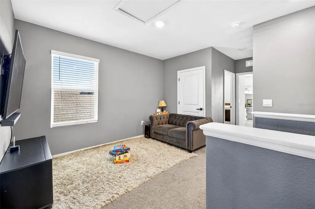 33608 Barberry Leaf Way Wesley Chapel FL 33543