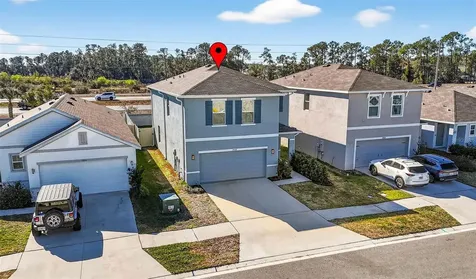 33608 Barberry Leaf Way Wesley Chapel FL 33543