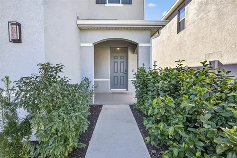 33608 Barberry Leaf Way Wesley Chapel FL 33543